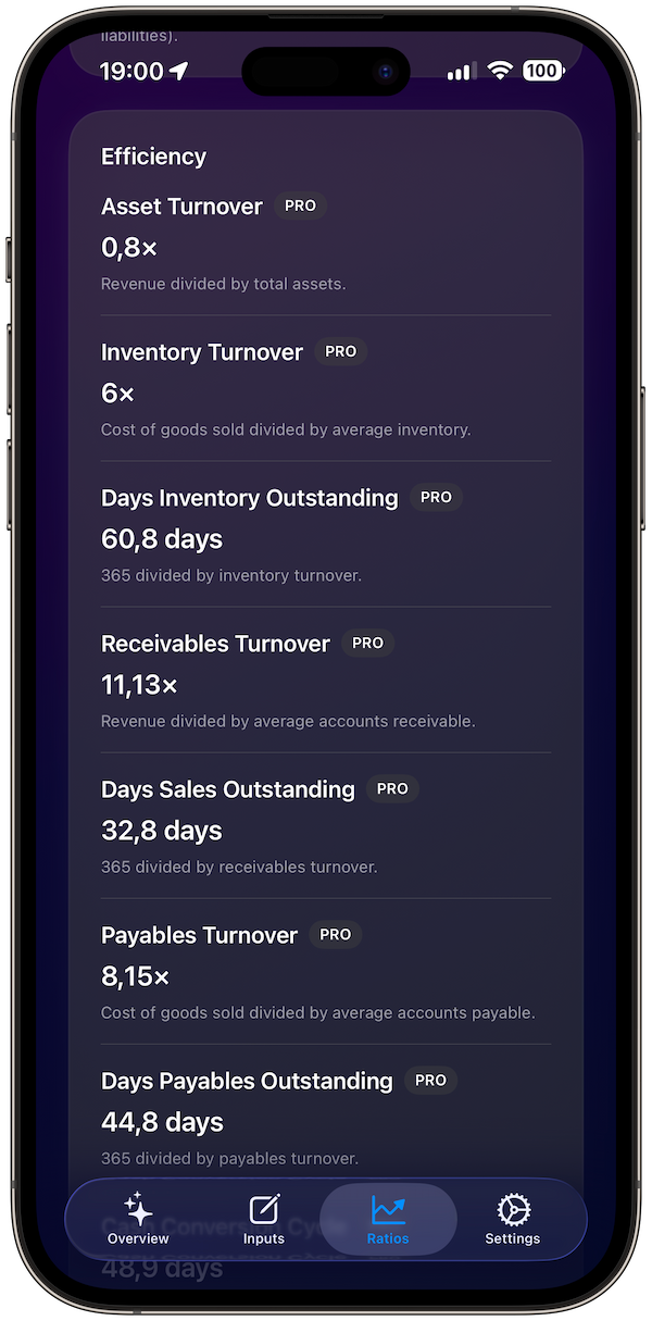 financial-ratios screenshot 7